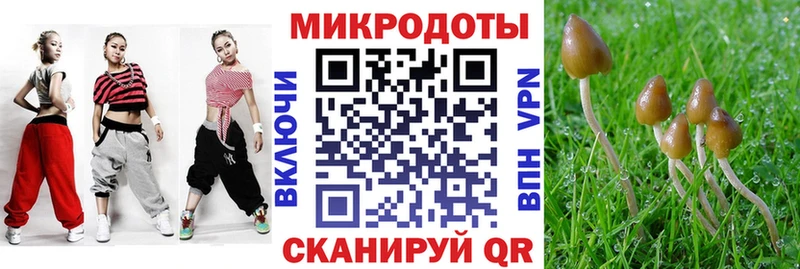 Купить где  Ревда  Галлюциногенные грибы прущие грибы 